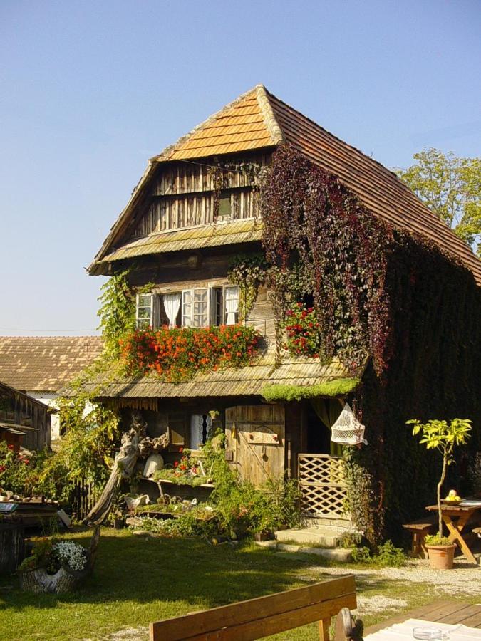 Rural Tourism Family Ravlic Guest House Muzilovcica Ngoại thất bức ảnh