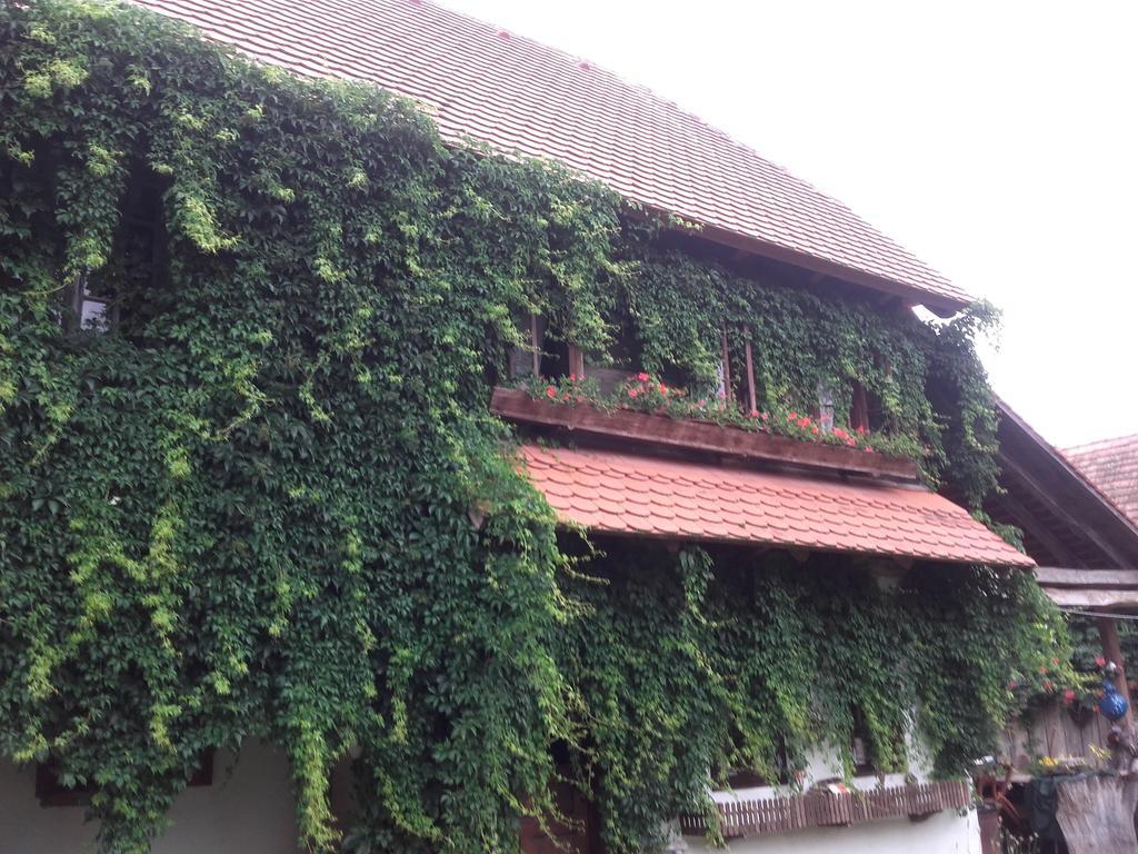 Rural Tourism Family Ravlic Guest House Muzilovcica Ngoại thất bức ảnh