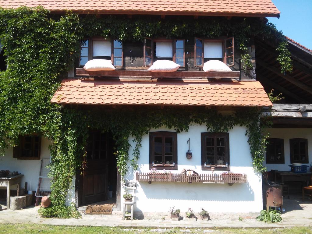 Rural Tourism Family Ravlic Guest House Muzilovcica Ngoại thất bức ảnh